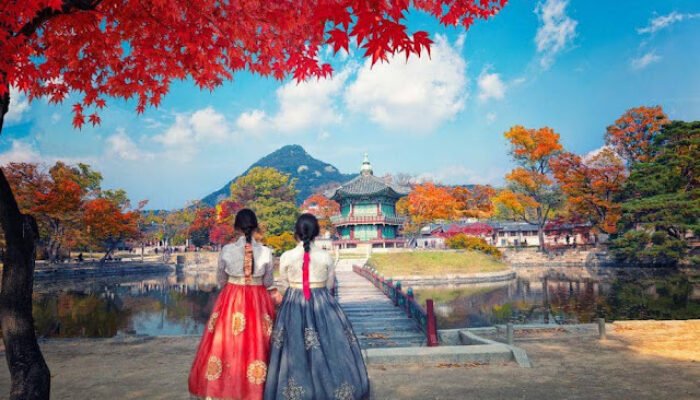 Menjelajahi Pesona Musim Gugur Korea Selatan: Panduan Wisata Nyaman Bersama Avenir