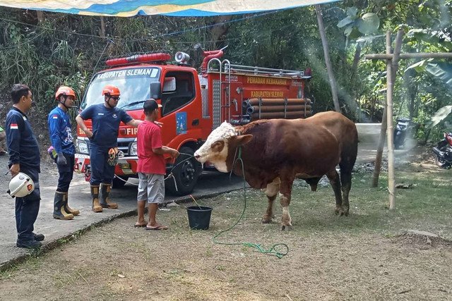 Kumpulan Video Lucu Seputar Hari Raya Qurban Kumpulan Video Lucu Seputar Hari Raya Qurban