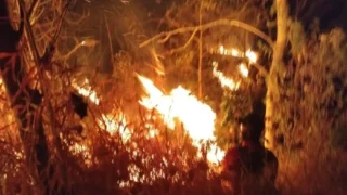 Medan Curam dan Angin Kencang Hambat Pemadaman Karhutla di Gondang Mojokerto